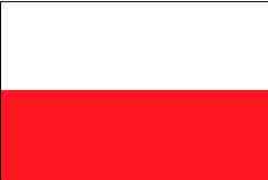 polish