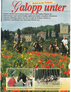 Galopp unter Zypressen, St.Georg, April 1998, Germania