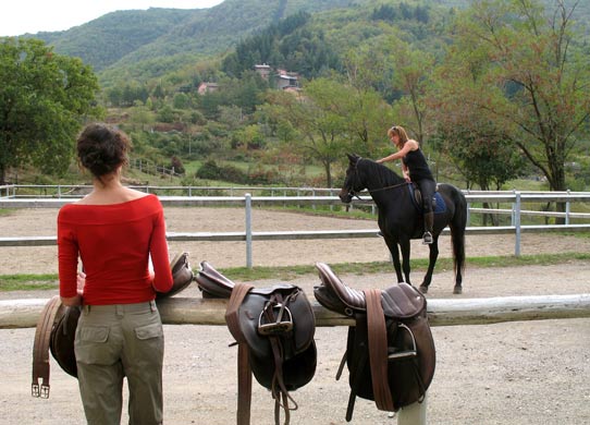 stables - maneggio