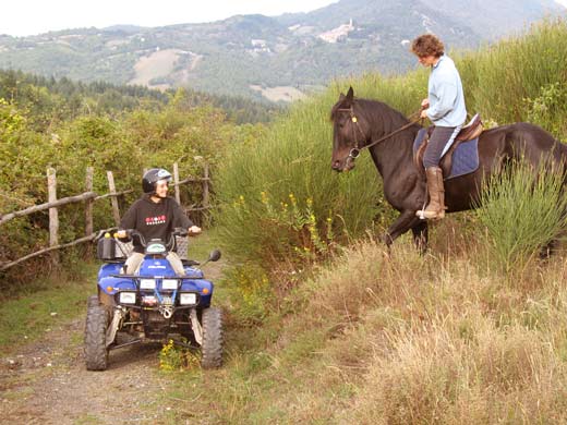 quad + horseback tour