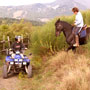 quad and horseback tour