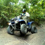 quad tour