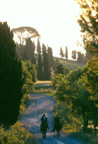 Toscana Olaszorszg Maremma